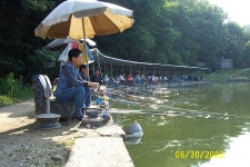 방가루 유료낚시터 > 파주광탄문화 낚시터조황 : 낚시사랑
