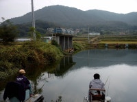 강화발이 유료낚시터 > 양사낚시터.. : 낚시사랑