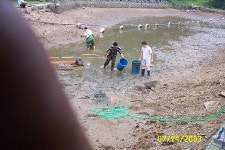 방가루 유료낚시터 > 문화낚시터 물가리 이벤트행사 : 낚시사랑