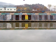 명장 유료낚시터 > 남양주우성낚시터 오늘손맛터로 개장합니다. : 낚시사랑