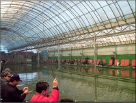 차산낚시터 유료낚시터 > ♣차산 실내 손맛터 10월 28일 토요일 개장♣ : 낚시사랑