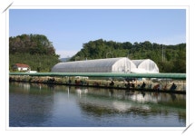 먹골지기 유료낚시터 > [먹골낚시터] 하우스 개장날 스케치 : 낚시사랑