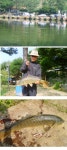부림낚시터 유료낚시터 > [부림낚시터]꽤 많은 비밀이 있는 부림과.....무엇에 쓰는 물건인고....? : 낚시사랑