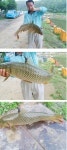 부림낚시터 유료낚시터 > [부림낚시터] 부림호의 괴물과 완소 누렁이 ^^* : 낚시사랑