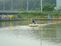고정낚시터 유료낚시터 > [김포]고정 낚시터 딱지방류및 무료 점심식사 제공~!!!!!!! : 낚시사랑
