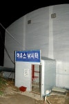 동막낚시터 유료낚시터 > 동막하우스낚시터에서 알려드립니다. : 낚시사랑