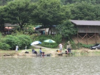 주봉지 유료낚시터 > 휴가철 피서낚시터--수상방갈로 : 낚시사랑