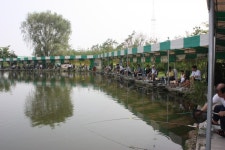 보물섬낚시터 유료낚시터 > 금,토요일은 밤샘낚시 하는 날마포에서 : 낚시사랑