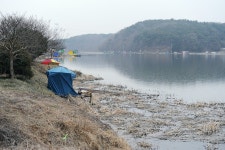 신동지기 유료낚시터 > 봄을맞는 신동지 : 낚시사랑