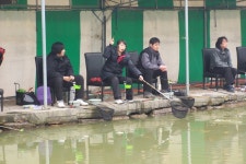 보물섬낚시터 유료낚시터 > 손맛,금,토요일 밤샘낚시 : 낚시사랑