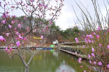 제이에스 유료낚시터 > ※여주 관광농원 낚시터를 소개합니다※ : 낚시사랑