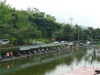 청계낚시터 유료낚시터 > 장마비...청계대형하우스손맛터로 오세요^^(판교위치) : 낚시사랑