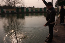 보물섬낚시터 유료낚시터 > 송어루어,붕어잉어 둘다 손맛 보세요. : 낚시사랑