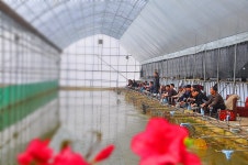 시흥방산 유료낚시터 > 노력하는 낚시터 시흥 방산 낚시터 4/2일 노지 개장합니다. : 낚시사랑