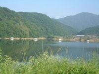 노은지 유료낚시터 > 노은지 소식 : 낚시사랑