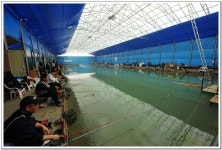 우금낚시터 유료낚시터 > 우금 : 낚시사랑