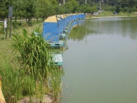 극동낚시터 유료낚시터 > 극동낚시터 좌대변경사항.. : 낚시사랑