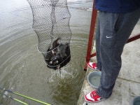 극동낚시터 유료낚시터 > 높고푸른가을하늘=행복 : 낚시사랑