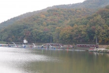 완장1호지 유료낚시터 > 세상에 인심.!!!!!!!!! : 낚시사랑