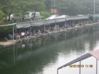 청계낚시터 유료낚시터 > 진정한 전천후낚시터..청계(장마비 우숩다^^) : 낚시사랑