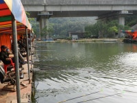 용면파크낚시터 유료낚시터 > 화창한 날씨 3째주 주말 조황............. : 낚시사랑