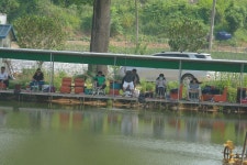 고삼월향낚시터 유료낚시터 > 새로운 주인 새로운 이벤트 공지 : 낚시사랑