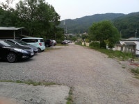 상곡낚시터 유료낚시터 > 시조회 모습과 토종붕어 방류 현황 : 낚시사랑