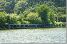 상덕낚시터 유료낚시터 > 1년 내내 만수위 유지하는 상덕낚시터 - 용인 상덕 : 낚시사랑