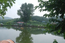 고삼월향낚시터 유료낚시터 > 하루하루 변하는 모습과 대박 조황. : 낚시사랑