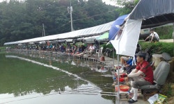 요덕골 유료낚시터 > 가을낚시묘미... : 낚시사랑