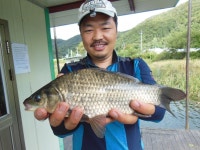 춘천세월낚시터 유료낚시터 > 춘천호 세월 좌대 : 낚시사랑