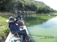 성은낚시터 유료낚시터 > 이쁜 72센티,뚱뚱한 74센티~ : 낚시사랑