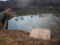 회암지 유료낚시터 > 완전 해방으로 물낚시 개장 : 낚시사랑