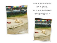 고잔낚시터 유료낚시터 > 주말 조황정보 전합니다. : 낚시사랑