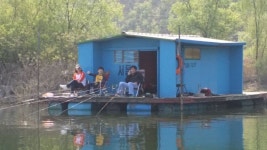 서울좌대 유료낚시터 > 송전지 서울좌대 5월15일 조황 : 낚시사랑