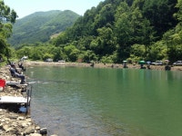 선고지 유료낚시터 > 충북 제천[선고지]낚시터 주말연휴 조황정보 : 낚시사랑