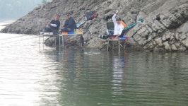 맹동낚시터 유료낚시터 > 맹동지 다시시작된 조항~~ : 낚시사랑