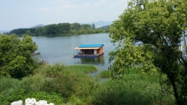 거북이좌대 유료낚시터 > 진짜 낚시 댐낚시! 미국에서도 소문듣고 찾아오는 거북이낚시터 조황 및 소식입니다. : 낚시사랑