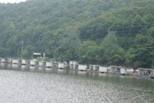 용인지곡낚시터 유료낚시터 > ♥ 꽈당 꽈당.♥ : 낚시사랑