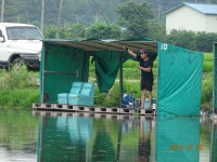 오빈낚시터 유료낚시터 > 주말조황 정보및 방류소식 전합니다,,,,,, : 낚시사랑