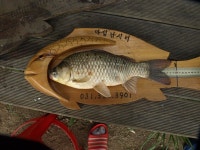 용인마성낚시터 유료낚시터 > 분당 동백 죽전에서 가까운 마성풍경,,,,,,, : 낚시사랑
