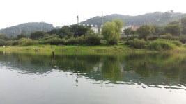 덕산지 유료낚시터 > 덕산지 물 수위 및 전경 , 7월27일 낚시 조황... : 낚시사랑