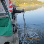 가산낚시터 유료낚시터 > 4인 방갈로에서는 ~~~ : 낚시사랑