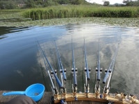 광명낚시터 유료낚시터 > 조과는 안정세~~~~~^^ : 낚시사랑