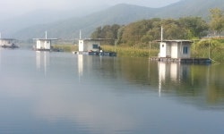 월척낚시터 유료낚시터 > 월척외 붕어 대박입니다 : 낚시사랑