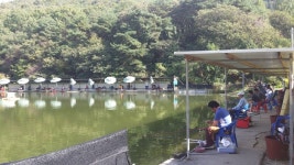 공주 큰목골낚시터 유료낚시터 > 공주 큰목골낚시터 9월30일 소식 : 낚시사랑