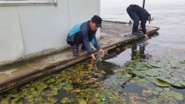 안골지 유료낚시터 > 아산 안골낚시터 조황정보입니다. : 낚시사랑