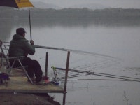칠곡낚시터 유료낚시터 > 토종붕어 잡이터 어제 밤 조황 : 낚시사랑