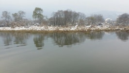 돌배좌대 유료낚시터 > 예당피쉬뱅크좌대 조항 전화문의041.333.1330 : 낚시사랑