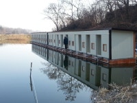 상곡낚시터 유료낚시터 > 1m20cm 대두어 출현과 토종붕어 방류 / 1人용 개인좌대 완공 : 낚시사랑